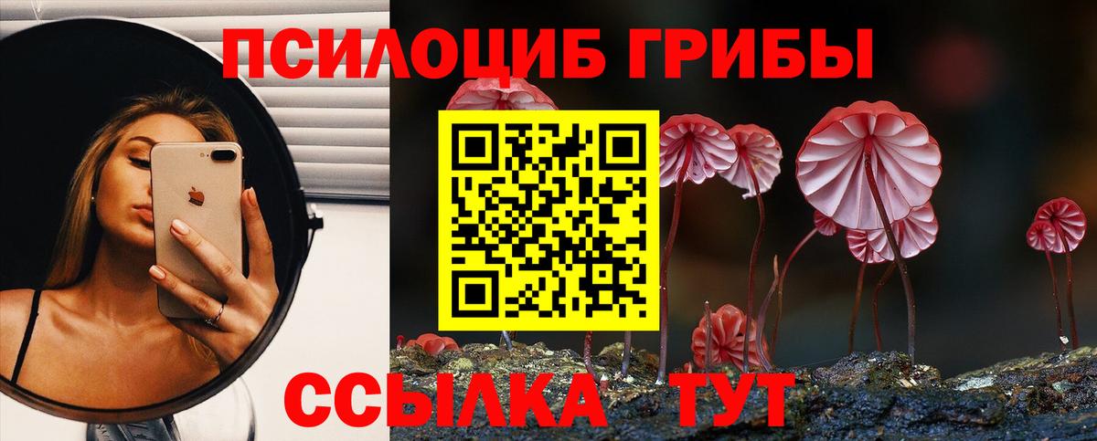Галлюциногенные грибы Magic Shrooms Татарск