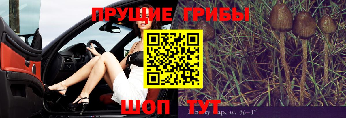 Татарск  Псилоцибиновые грибы GOLDEN TEACHER  Вход с VPN 